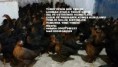 /album/resim-galerisi/picsart-1430919253647-kopya-jpg/